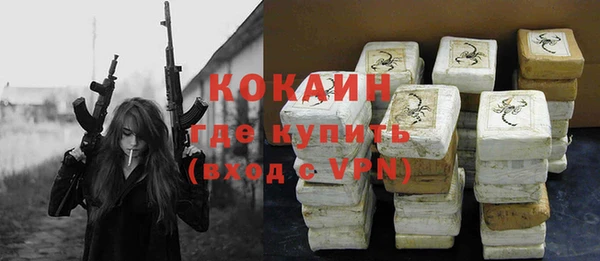 дурь Осташков