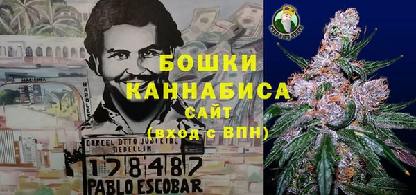 дурь Осташков
