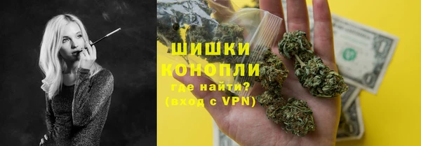 шишки Осинники