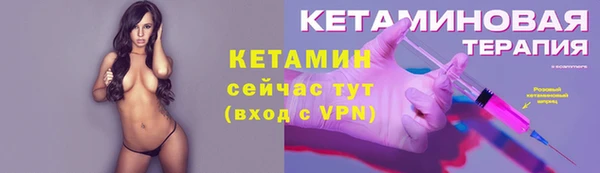 шишки Осинники