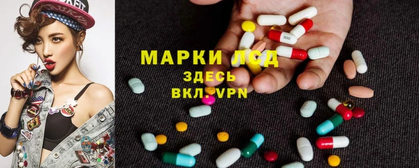 дурь Осташков