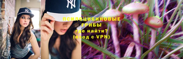 прущая мука Остров