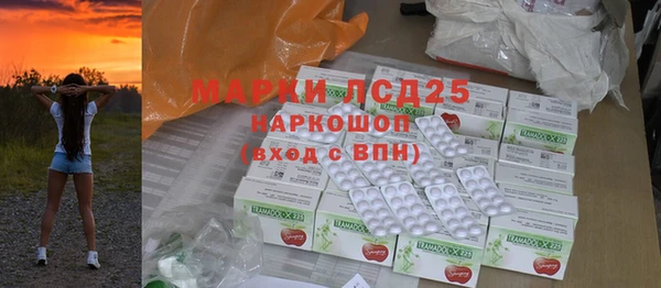 шишки Осинники