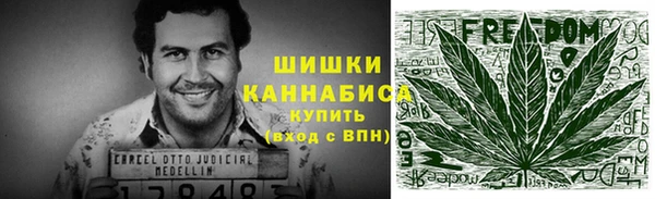 шишки Осинники