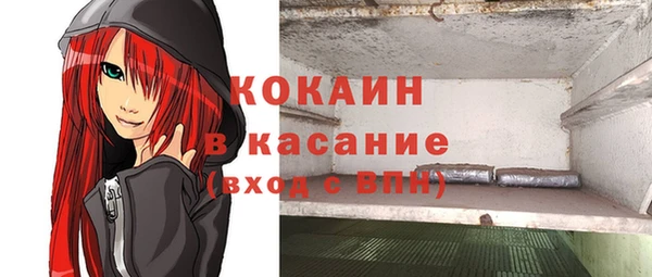 дурь Осташков