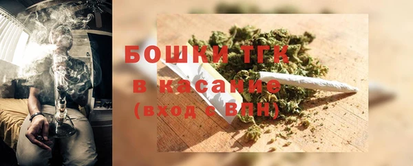 дурь Осташков