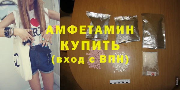 шишки Осинники