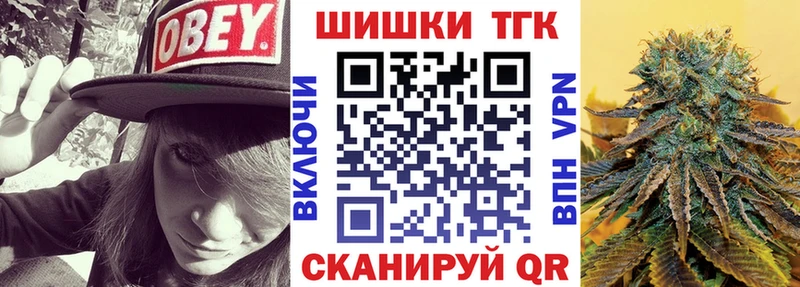 Бошки Шишки план  Купить закладки  Светогорск 